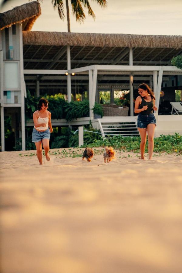 Beach Houses Moitas Amontada Экстерьер фото